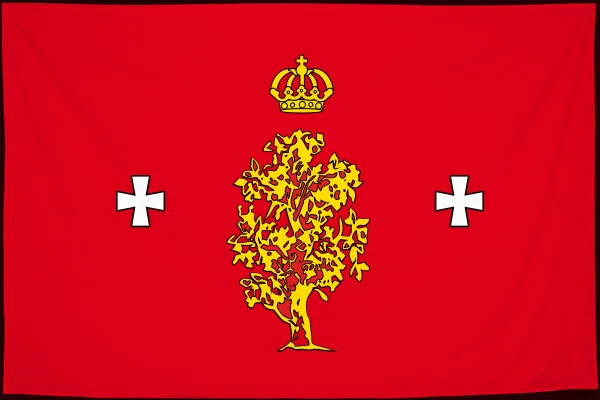 Флаг: Борисовский район